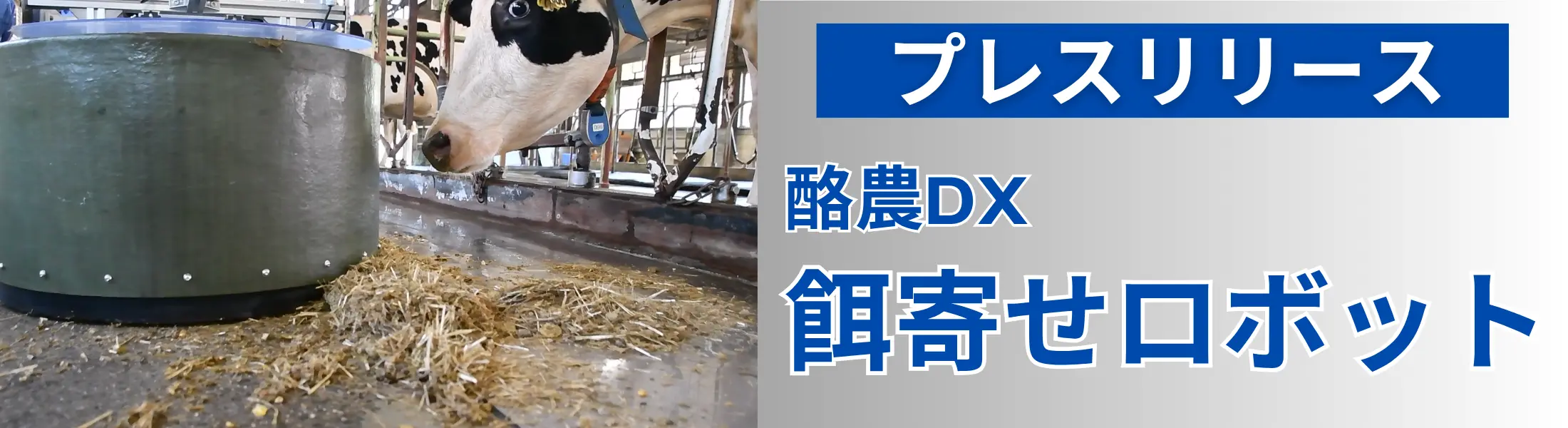 プレスリリース 酪農DX餌寄せロボット